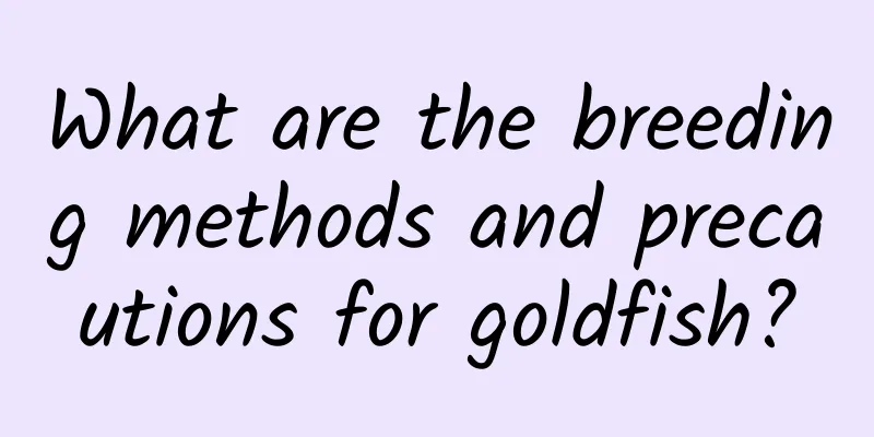 What are the breeding methods and precautions for goldfish?