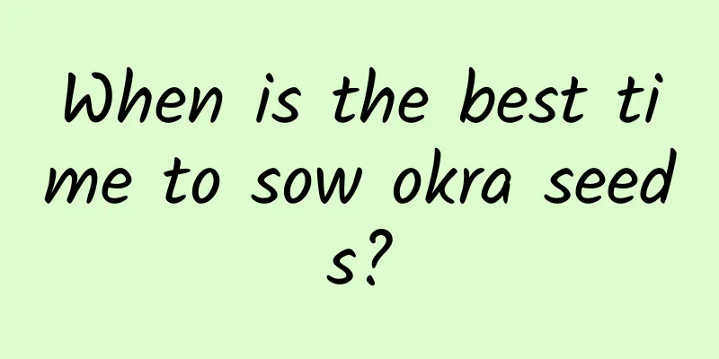 When is the best time to sow okra seeds?