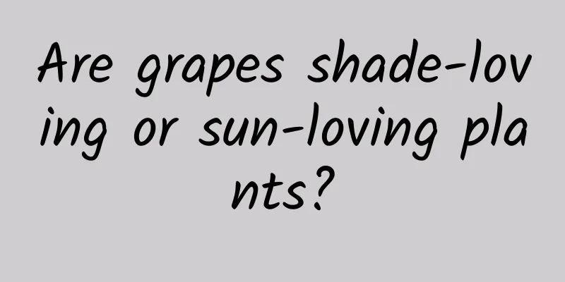 Are grapes shade-loving or sun-loving plants?