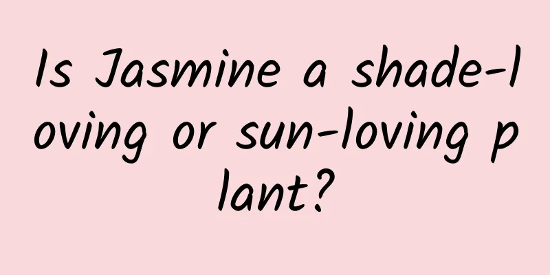 Is Jasmine a shade-loving or sun-loving plant?