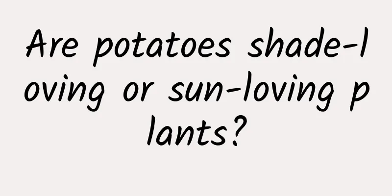 Are potatoes shade-loving or sun-loving plants?