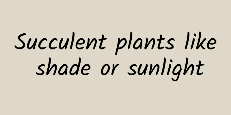 Succulent plants like shade or sunlight