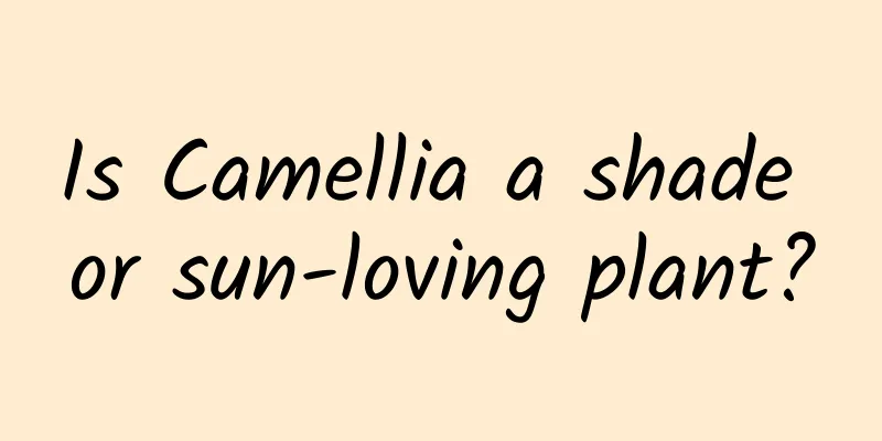 Is Camellia a shade or sun-loving plant?