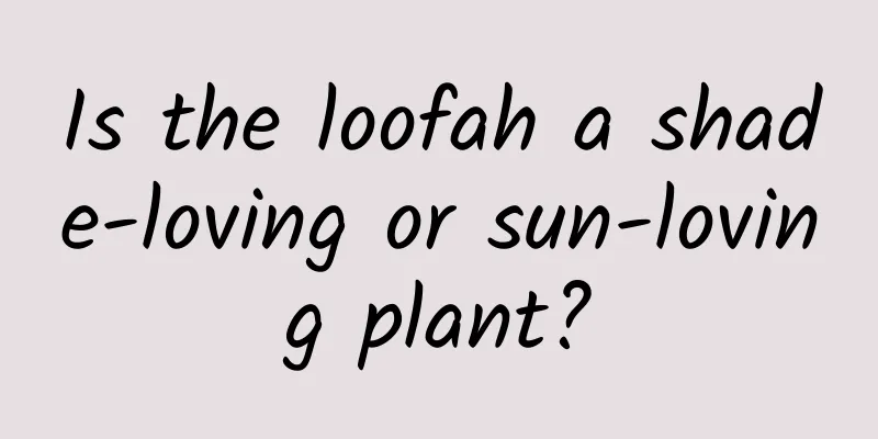 Is the loofah a shade-loving or sun-loving plant?