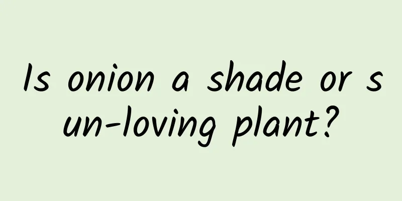 Is onion a shade or sun-loving plant?
