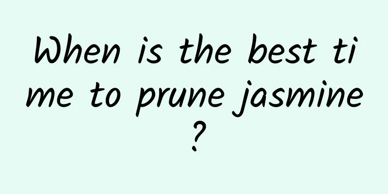 When is the best time to prune jasmine?