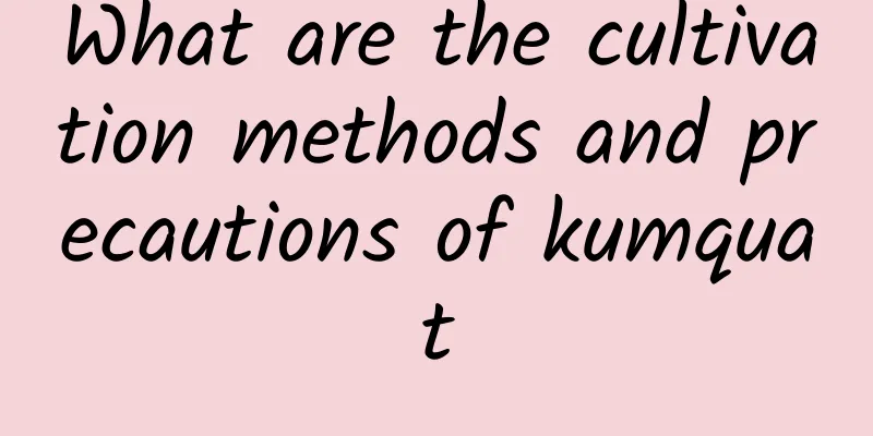 What are the cultivation methods and precautions of kumquat