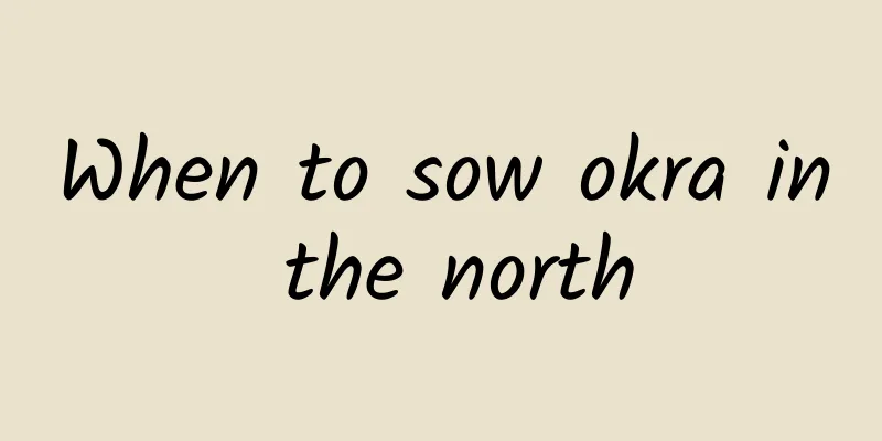 When to sow okra in the north