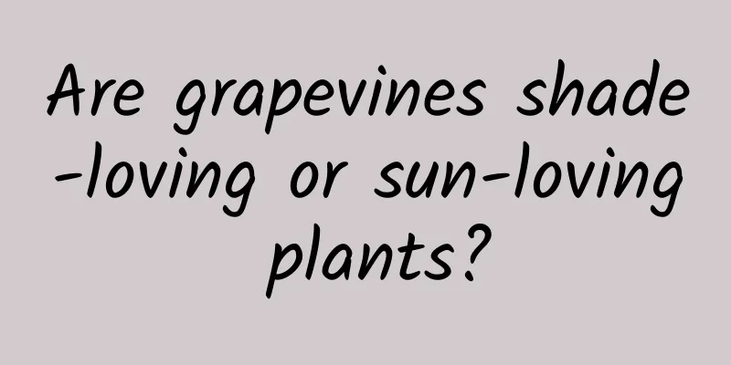 Are grapevines shade-loving or sun-loving plants?