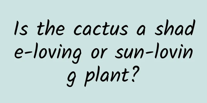 Is the cactus a shade-loving or sun-loving plant?