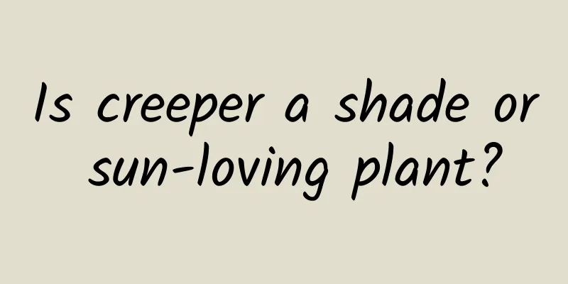 Is creeper a shade or sun-loving plant?