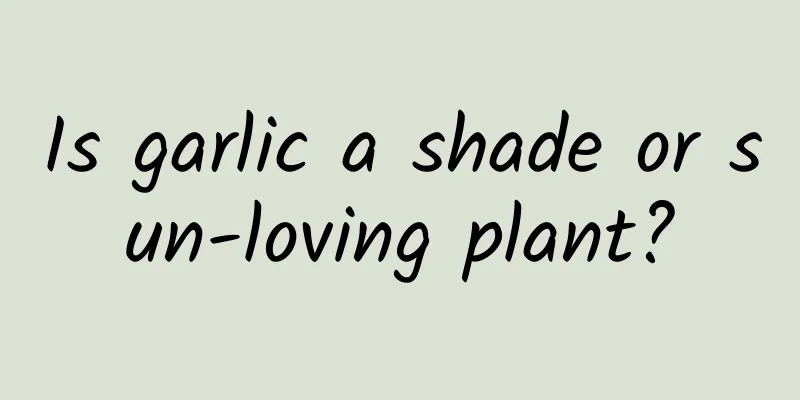 Is garlic a shade or sun-loving plant?