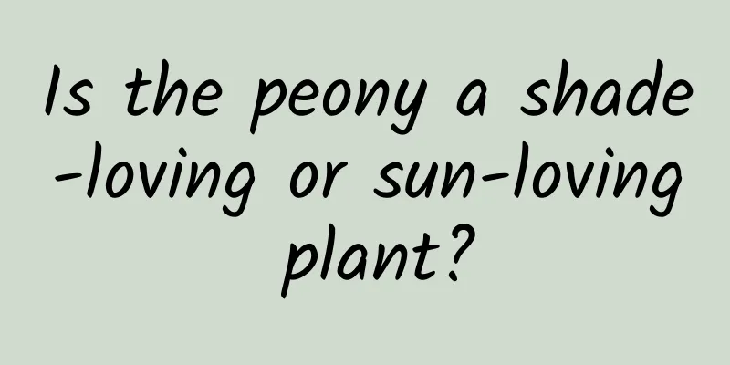 Is the peony a shade-loving or sun-loving plant?