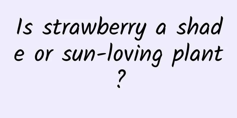 Is strawberry a shade or sun-loving plant?