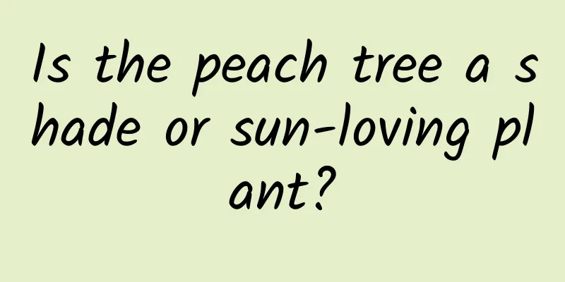 Is the peach tree a shade or sun-loving plant?