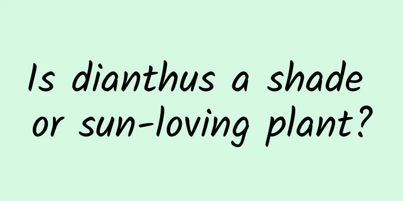 Is dianthus a shade or sun-loving plant?