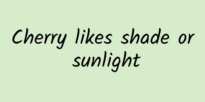 Cherry likes shade or sunlight