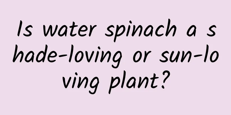 Is water spinach a shade-loving or sun-loving plant?