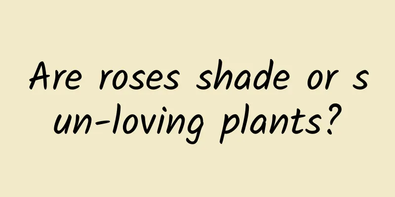 Are roses shade or sun-loving plants?