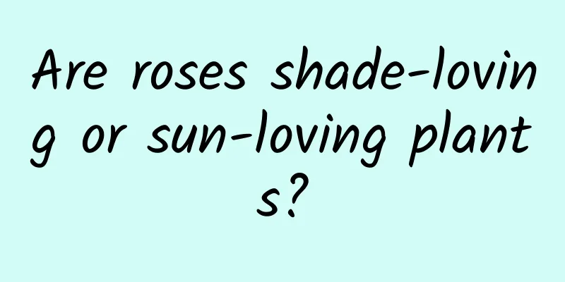 Are roses shade-loving or sun-loving plants?