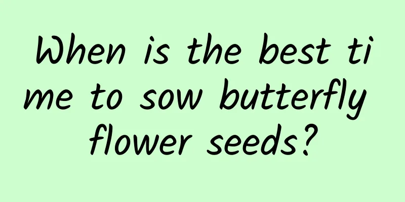 When is the best time to sow butterfly flower seeds?