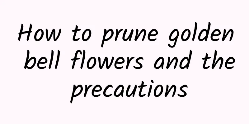 How to prune golden bell flowers and the precautions