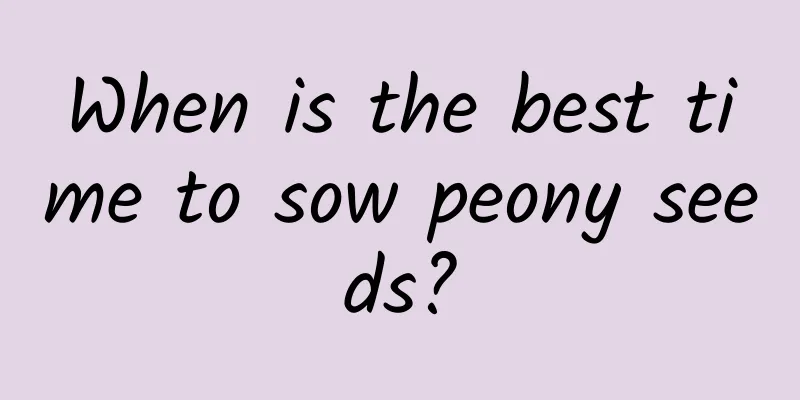 When is the best time to sow peony seeds?