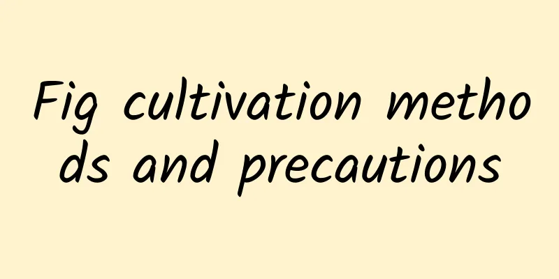 Fig cultivation methods and precautions