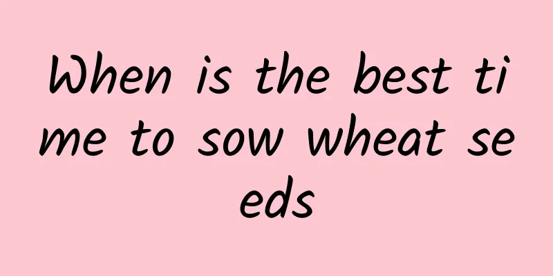 When is the best time to sow wheat seeds
