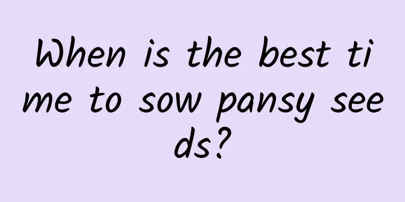 When is the best time to sow pansy seeds?