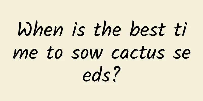 When is the best time to sow cactus seeds?