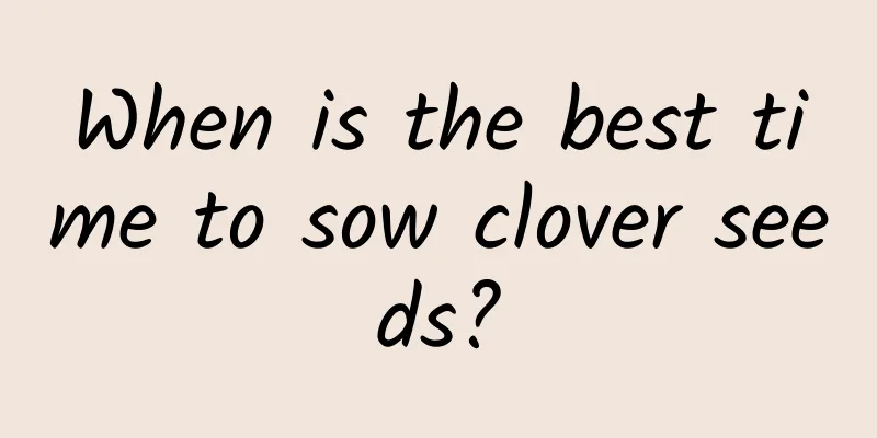 When is the best time to sow clover seeds?