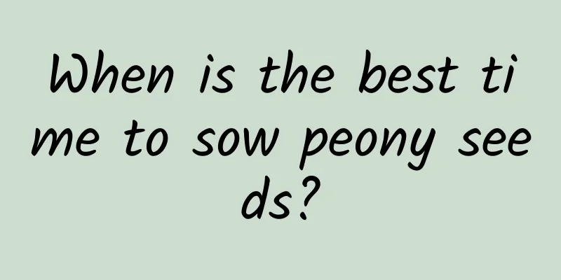 When is the best time to sow peony seeds?