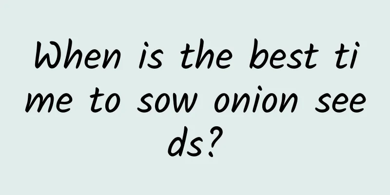 When is the best time to sow onion seeds?