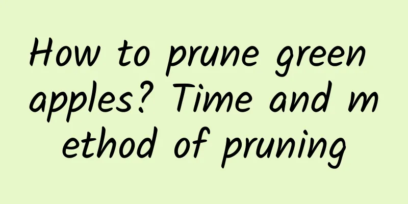 How to prune green apples? Time and method of pruning