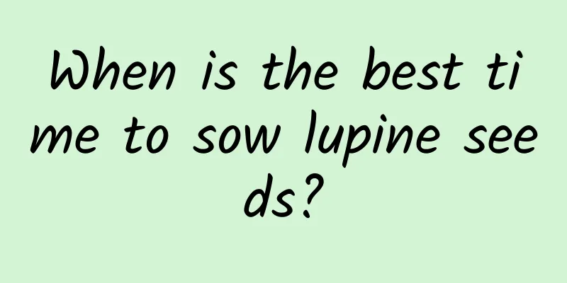 When is the best time to sow lupine seeds?