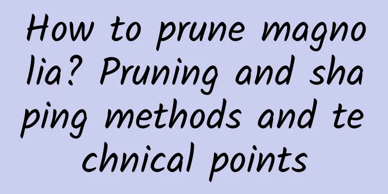 How to prune magnolia? Pruning and shaping methods and technical points