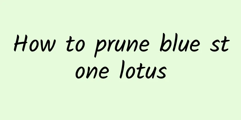 How to prune blue stone lotus