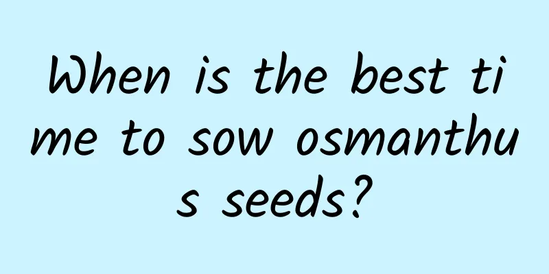 When is the best time to sow osmanthus seeds?