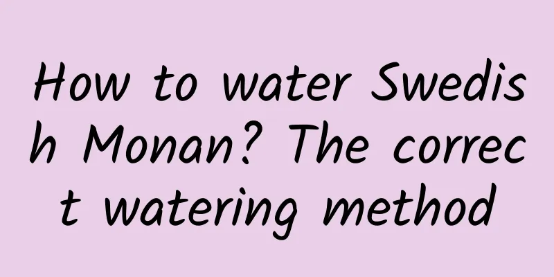 How to water Swedish Monan? The correct watering method