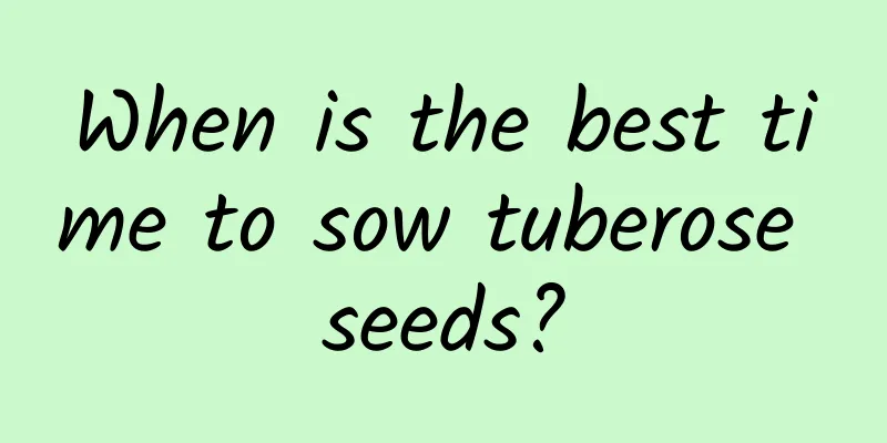 When is the best time to sow tuberose seeds?