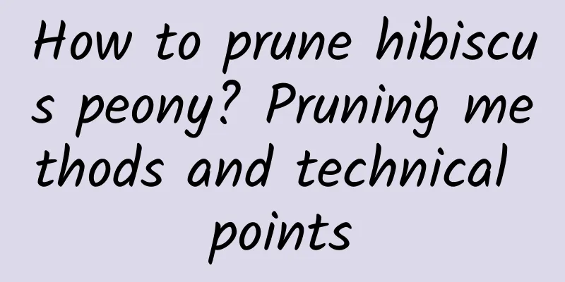 How to prune hibiscus peony? Pruning methods and technical points