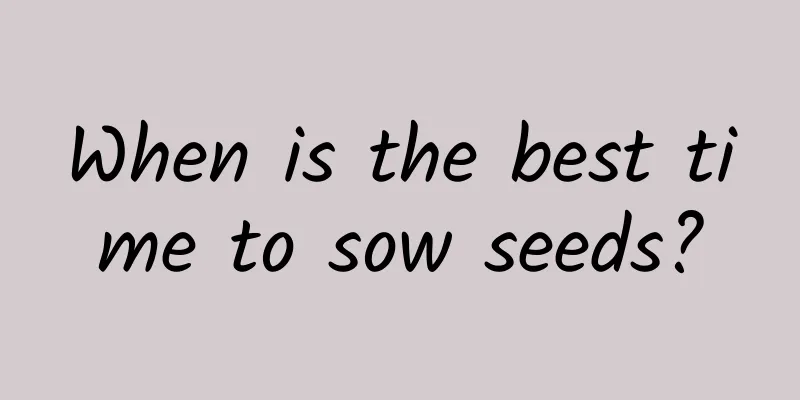 When is the best time to sow seeds?