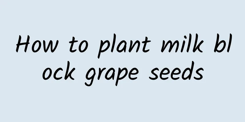 How to plant milk block grape seeds