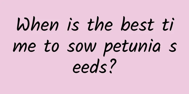 When is the best time to sow petunia seeds?