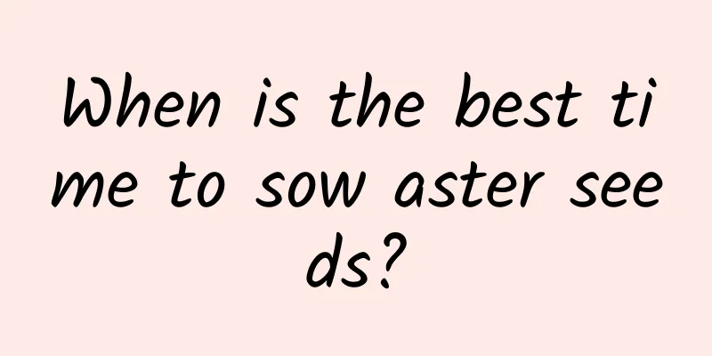 When is the best time to sow aster seeds?