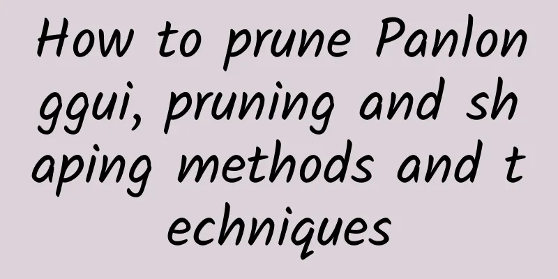 How to prune Panlonggui, pruning and shaping methods and techniques