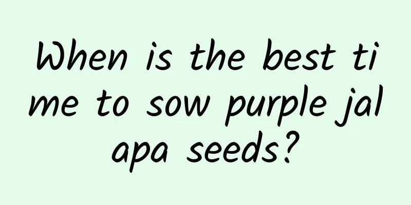 When is the best time to sow purple jalapa seeds?