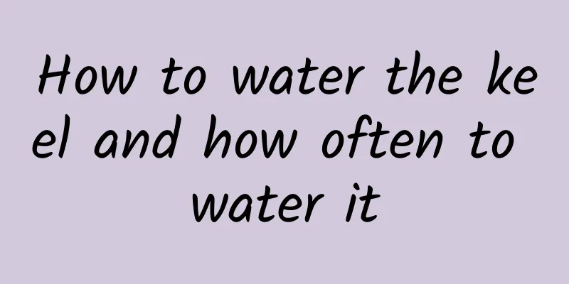 How to water the keel and how often to water it