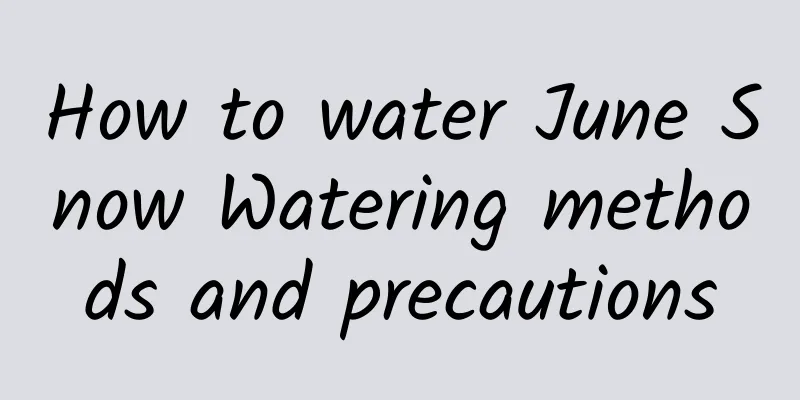 How to water June Snow Watering methods and precautions